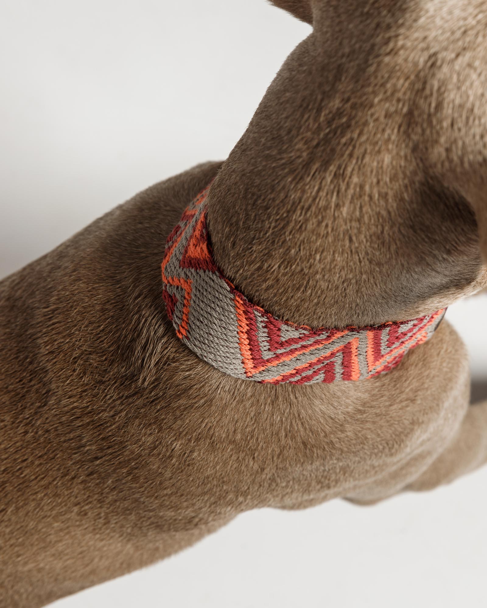 Нашийник Peruvian