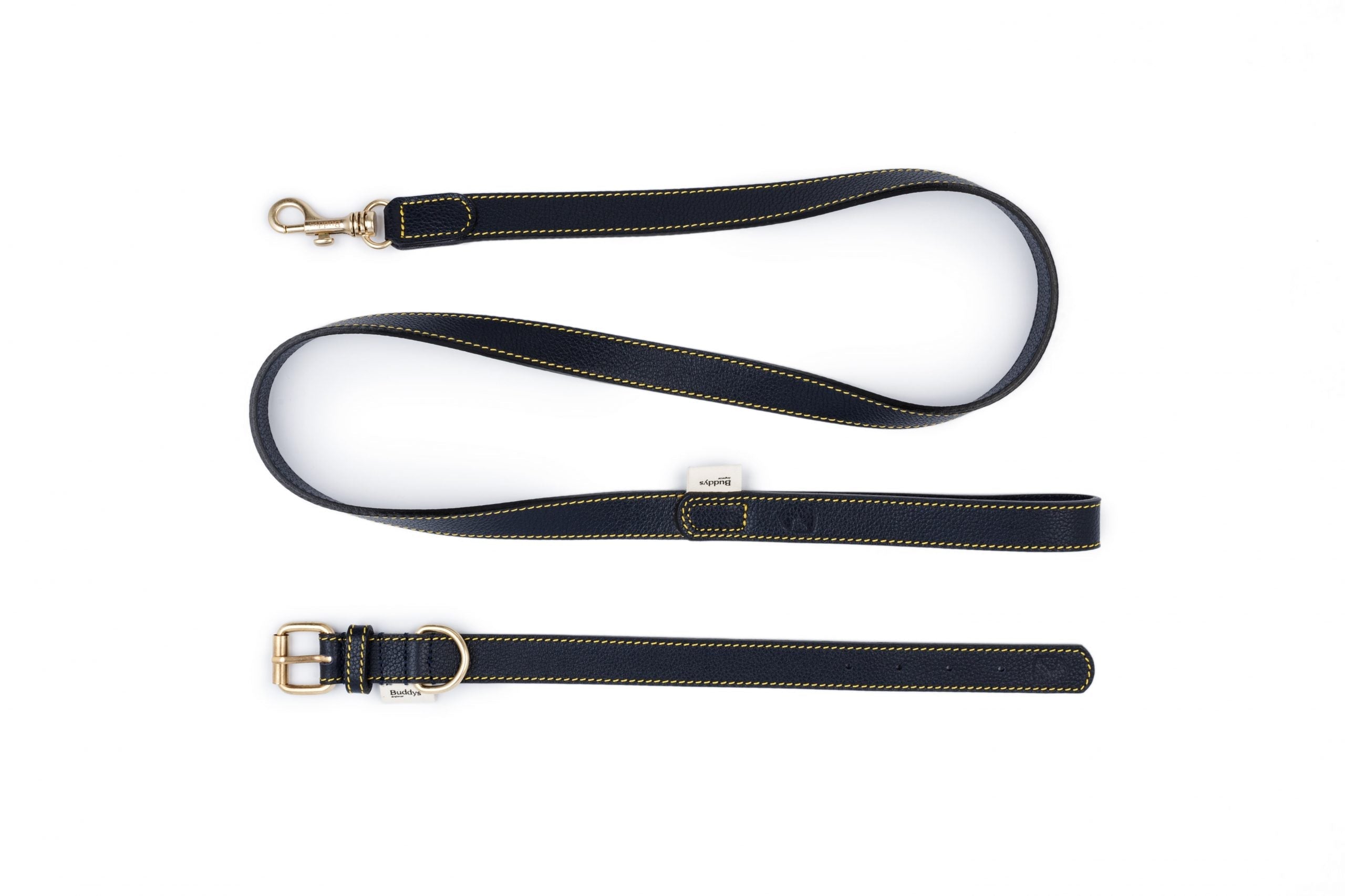 Повідець Sir Chuck на білому фоні в синьому кольорі та нашийник