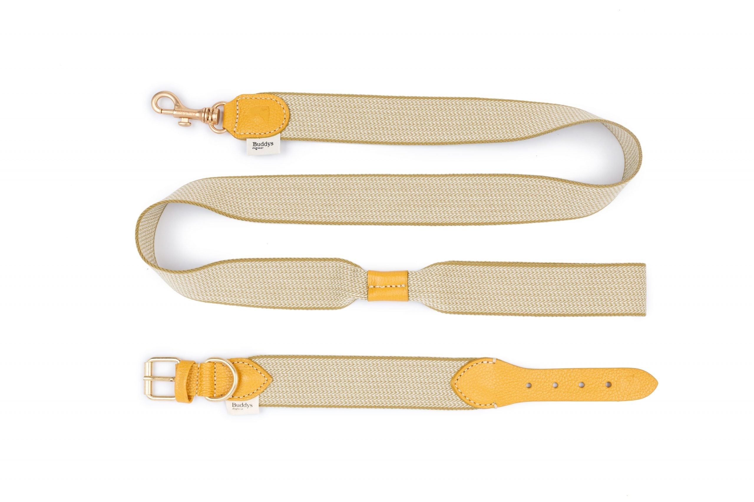 Повідець James з нашийником в жовтому кольорі