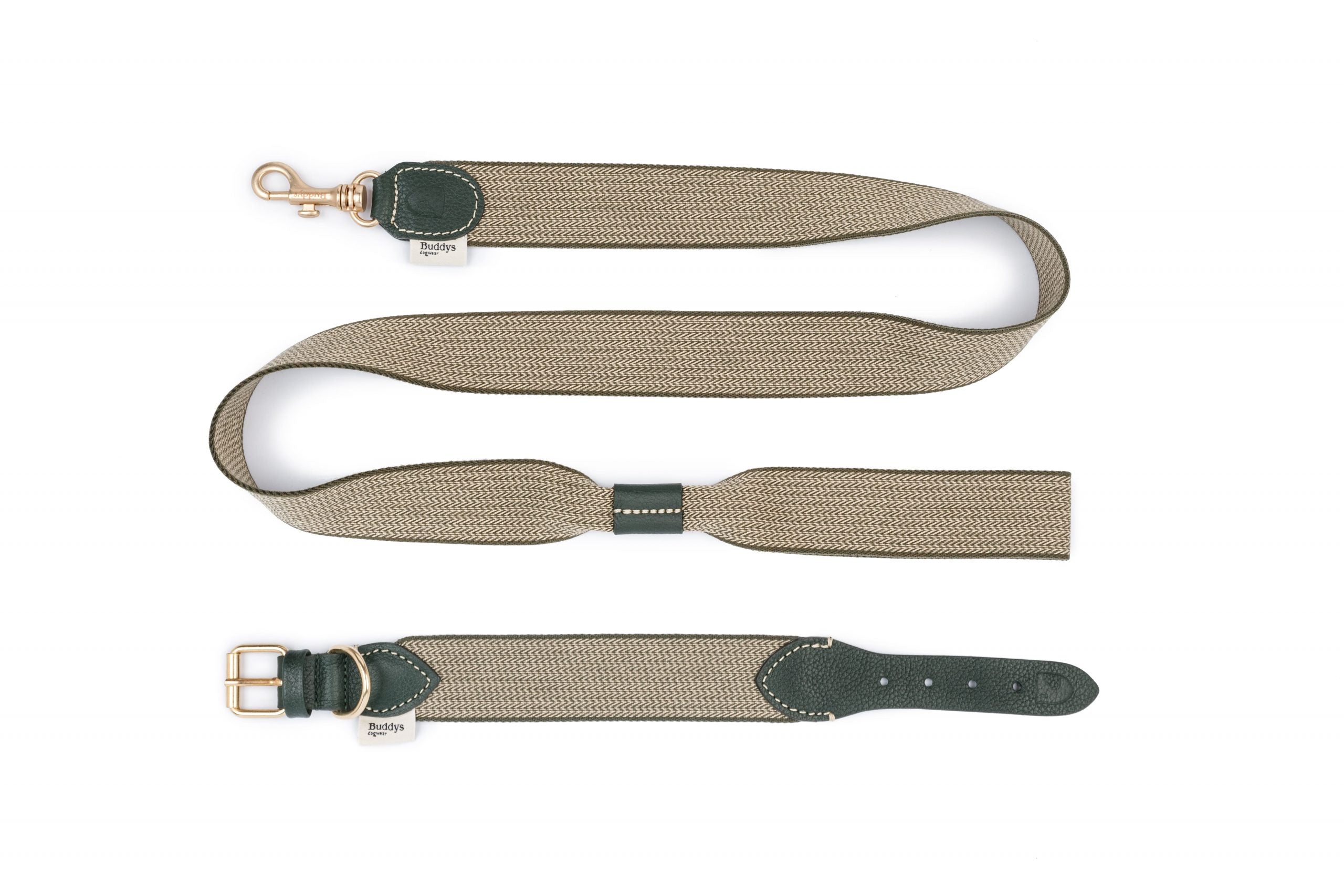 Повідець James в зеленому кольорі та з нашийником на білому фоні