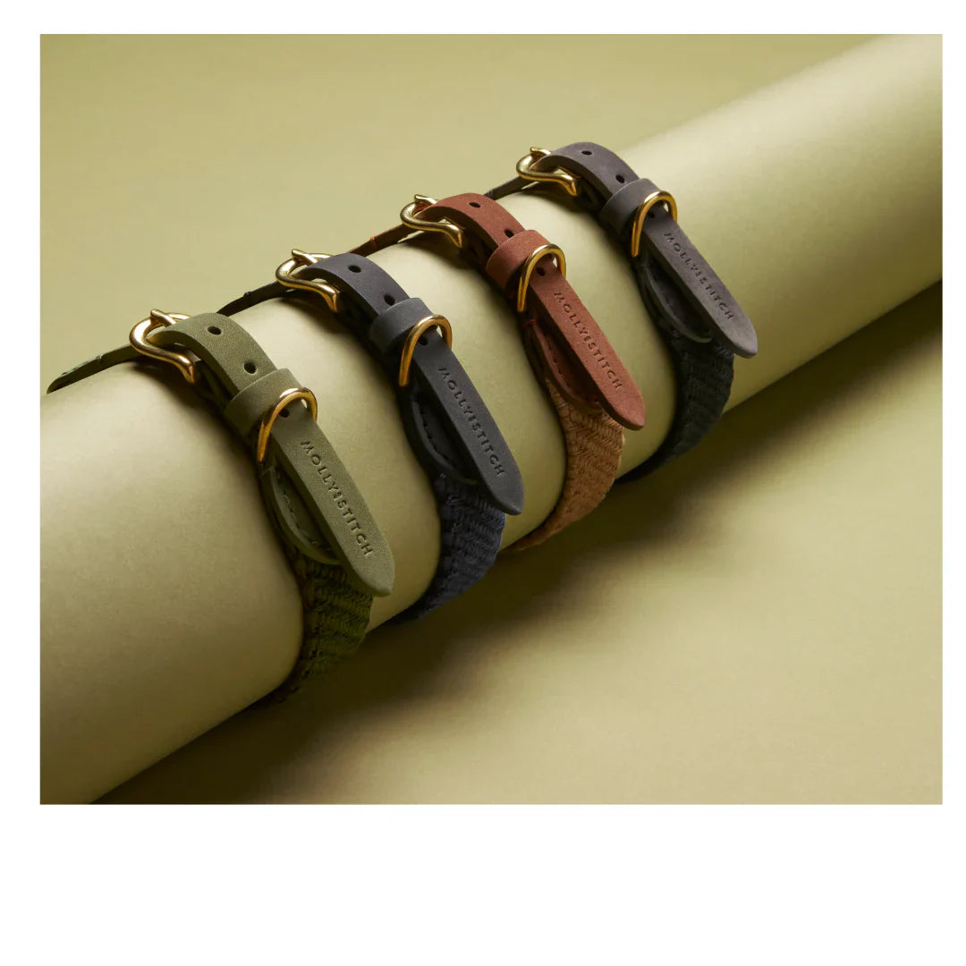 Нашийник Patagonia